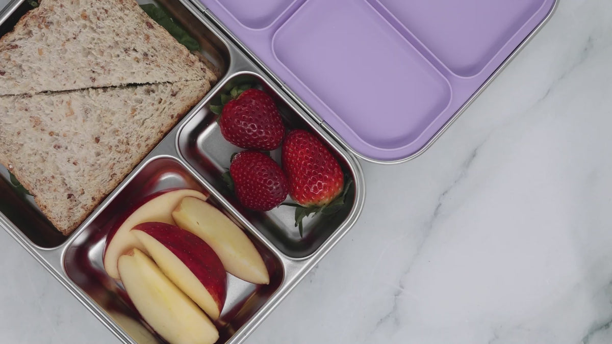 Trio Lunchbox